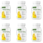 Wheat Germ Oil - 60 Capsules (Case of 6 x 60 Capsules)